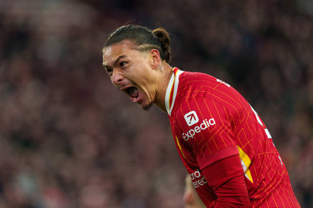 本赛季将无 本赛季将无