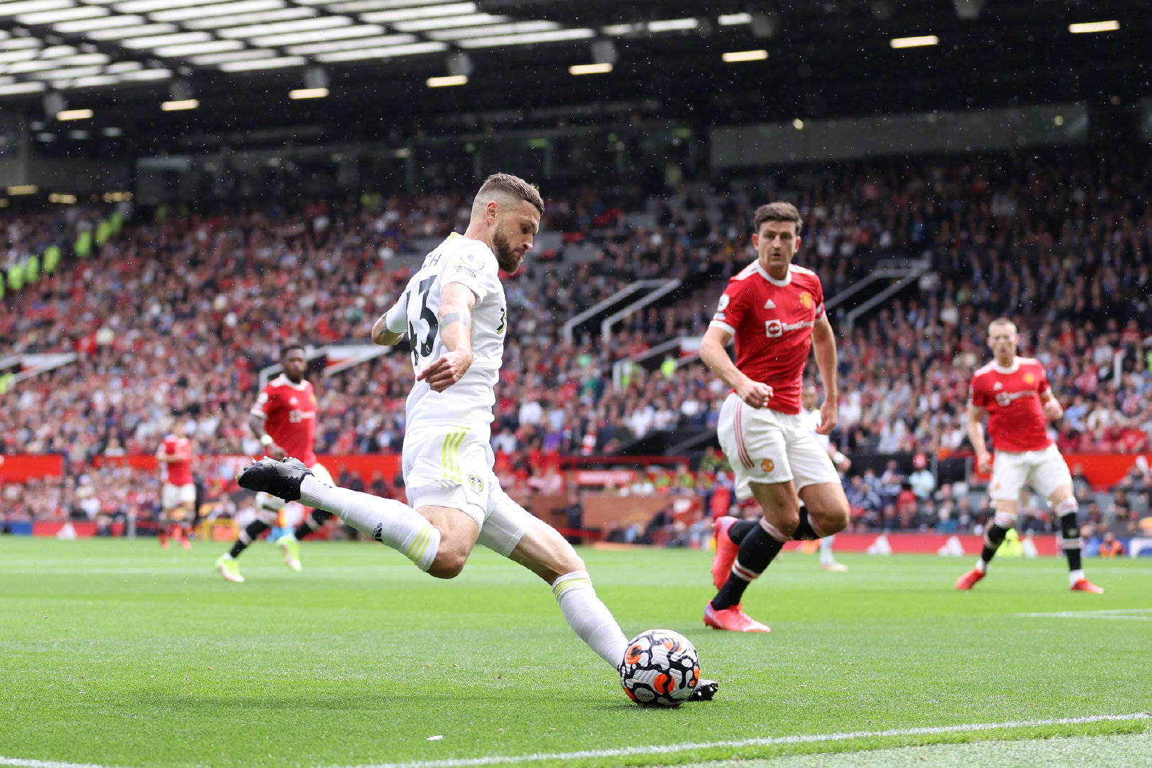 苏黎世草蜢 苏黎世草蜢