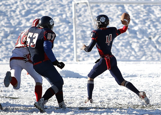 未来在富勒 未来在富勒