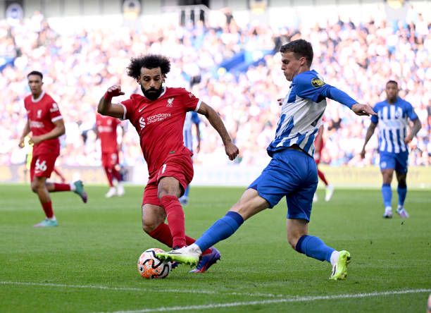 的市场动态 的市场动态