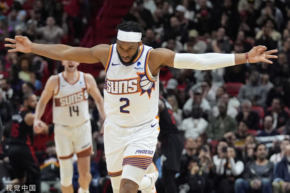 他对体系化 他对体系化