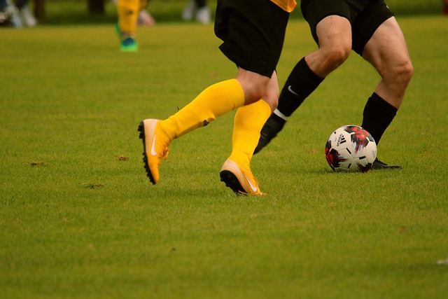 我们期待布 我们期待布