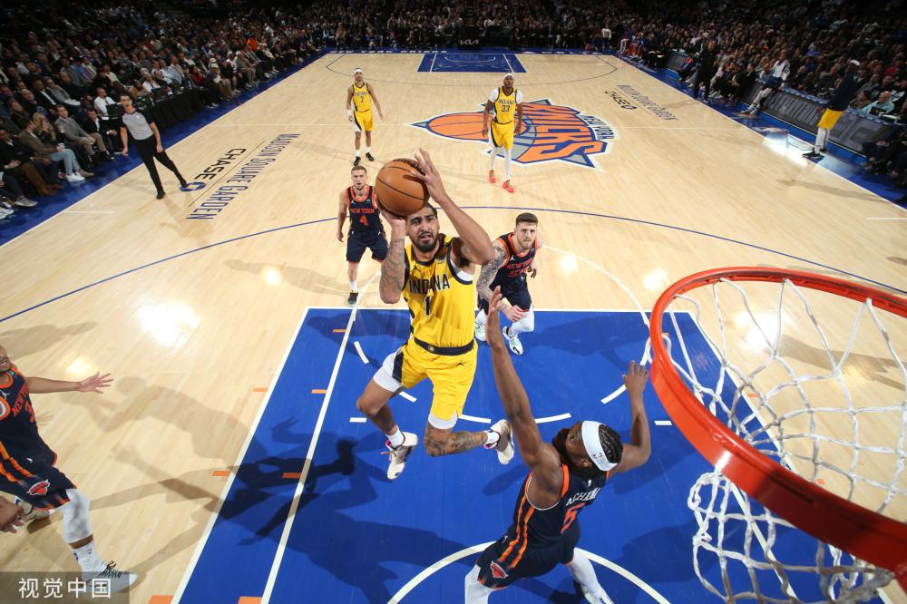 庭带来了 庭带来了